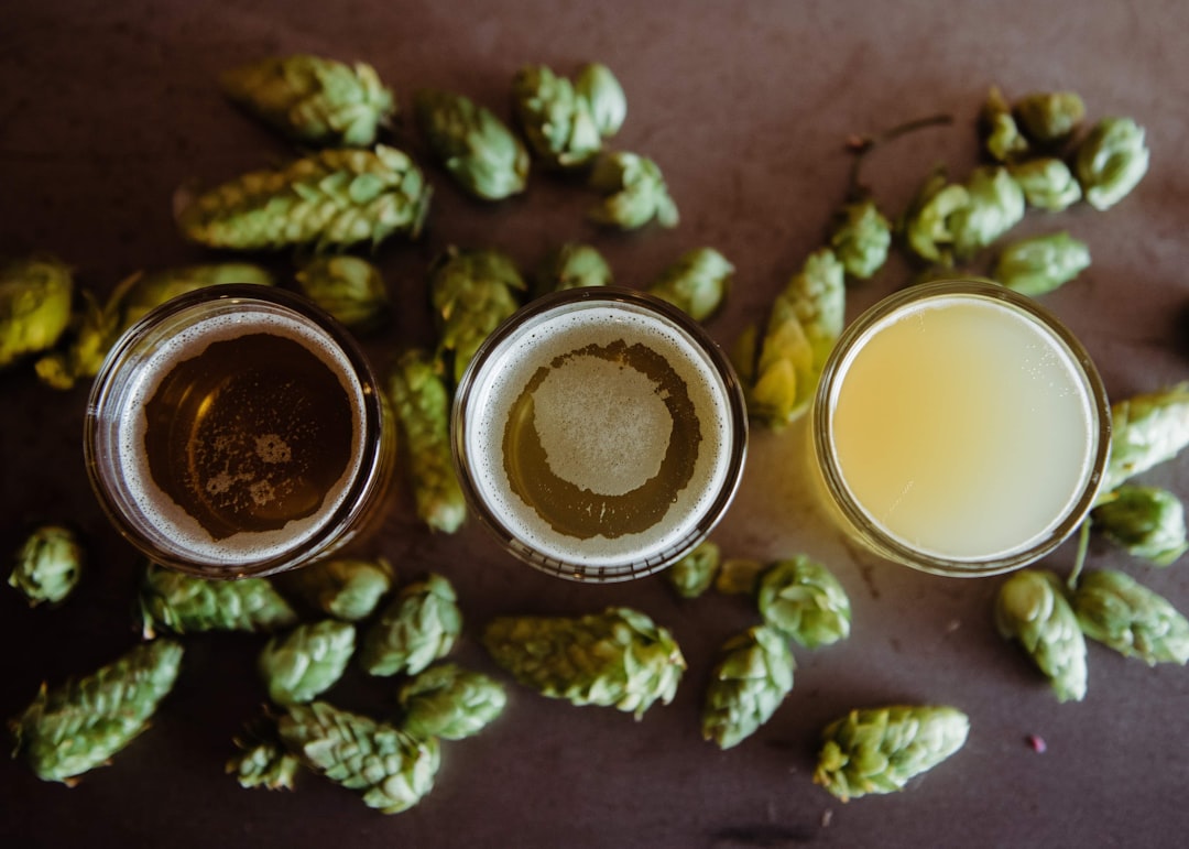 Exploring Homebrew Beer Styles: A Complete Guide for Craft Brewers
