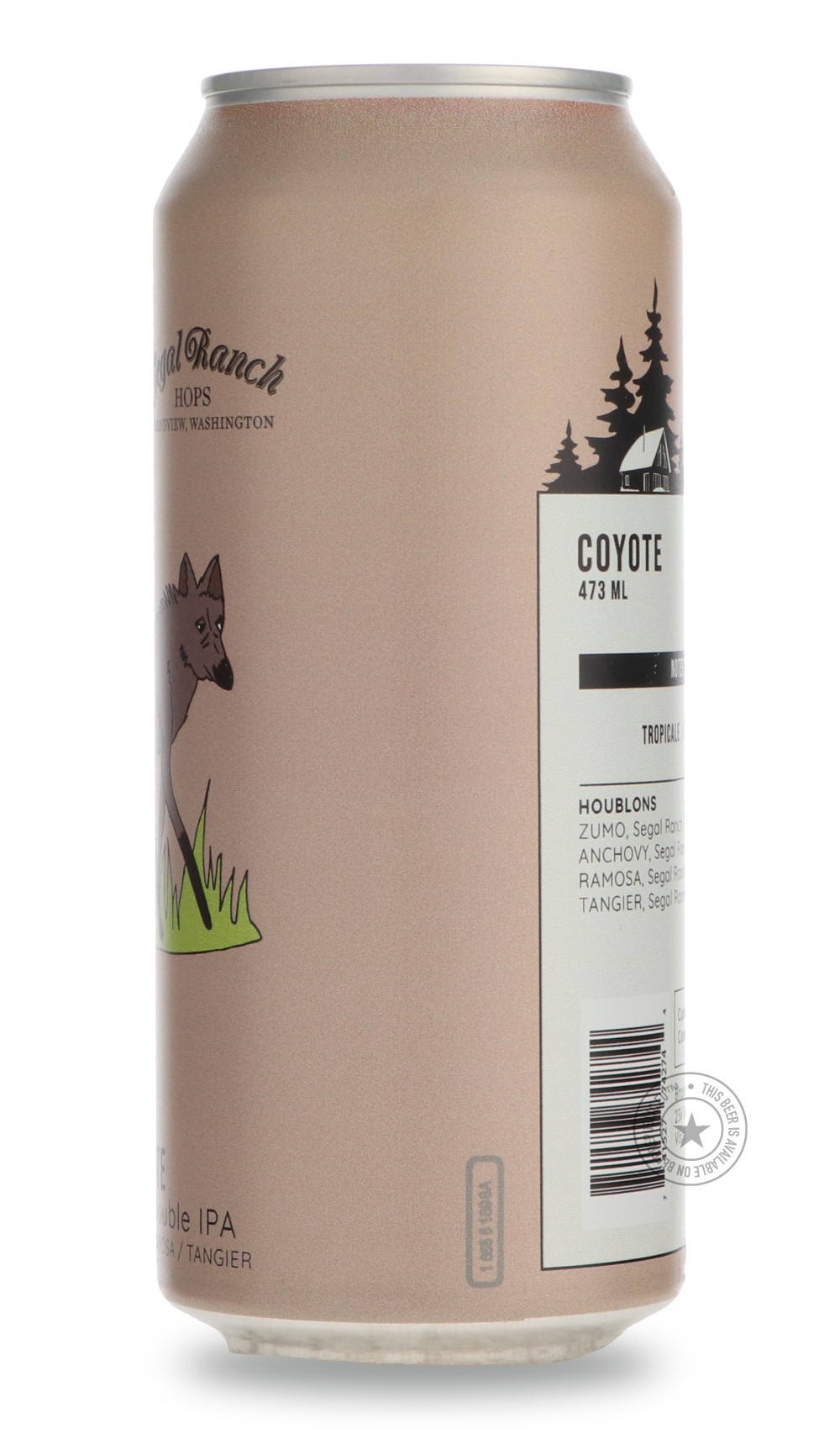 Coyote