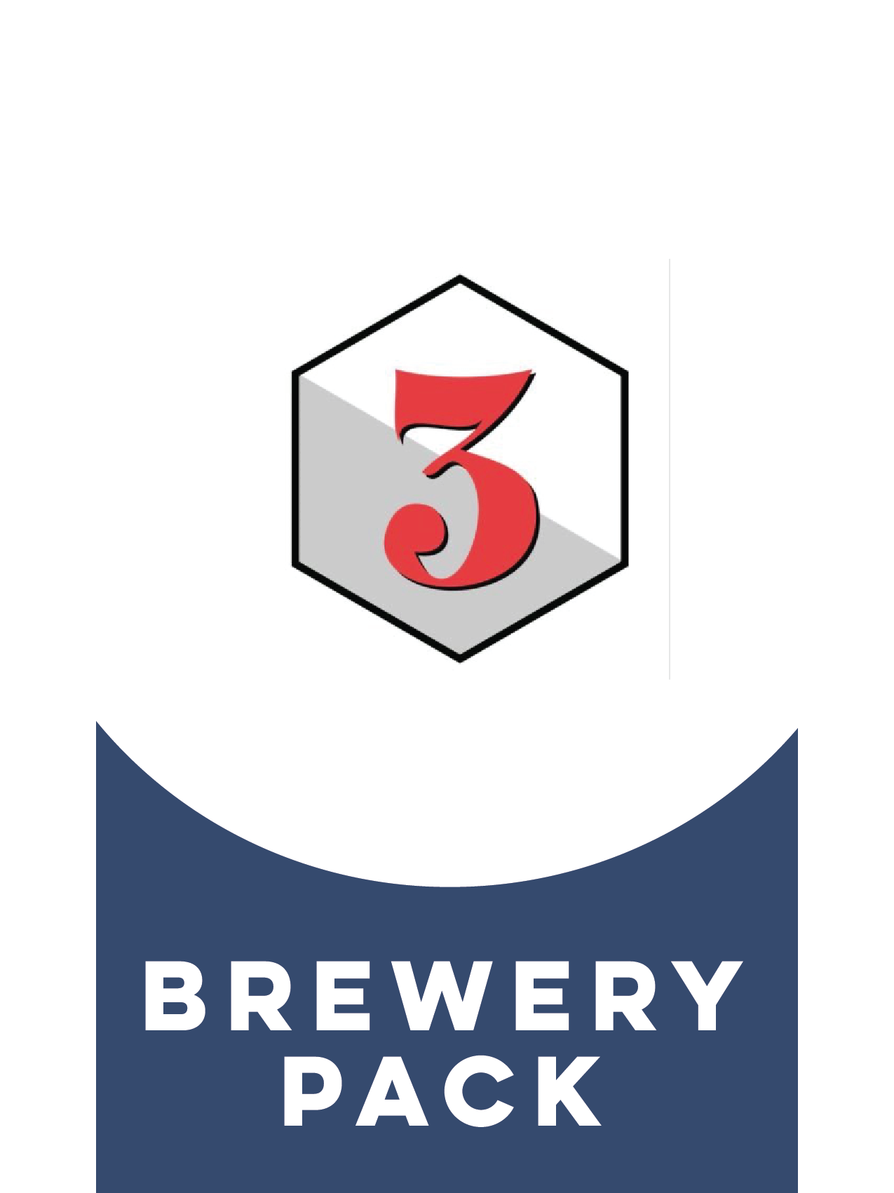 3 Sons- 3 Sons Brewery Pack-Packs & Cases- Only @ Beer Republic - The best online beer store for American & Canadian craft beer - Buy beer online from the USA and Canada - Bier online kopen - Amerikaans bier kopen - Craft beer store - Craft beer kopen - Amerikanisch bier kaufen - Bier online kaufen - Acheter biere online - IPA - Stout - Porter - New England IPA - Hazy IPA - Imperial Stout - Barrel Aged - Barrel Aged Imperial Stout - Brown - Dark beer - Blond - Blonde - Pilsner - Lager - Wheat - Weizen - Amb